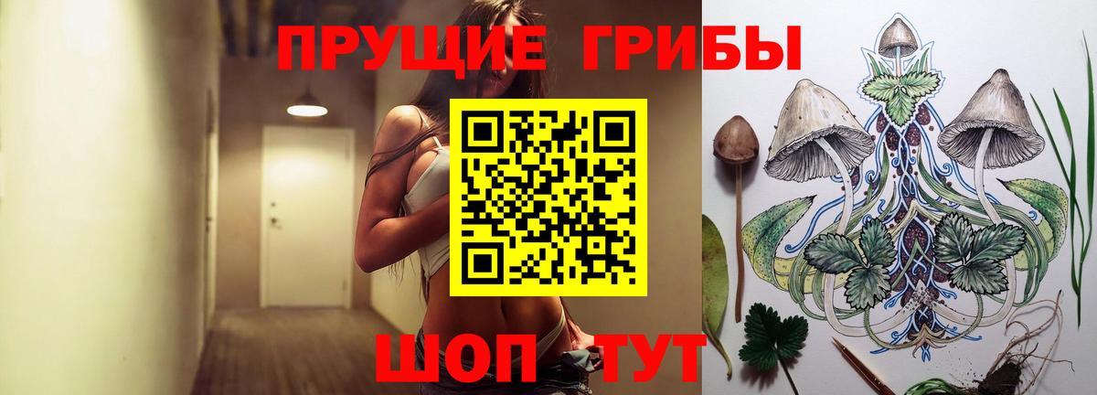 Благовещенск  Псилоцибиновые грибы Cubensis  купить наркотики цена  Галлюциногенные грибы Cubensis  Вход с VPN 